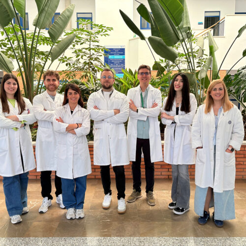 CloneSight: A new Spanish MRD test shows promise in predicting late relapse in early breast cancer