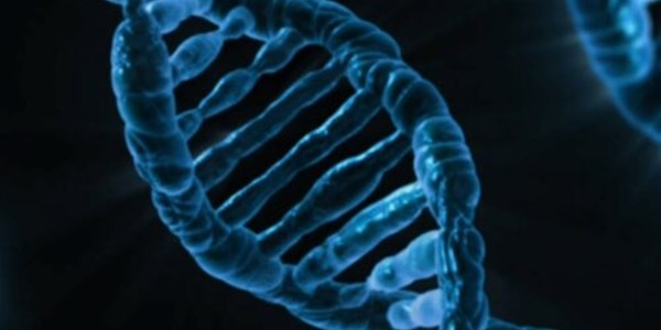 Determinan el valor del ADN libre circulante tumoral en el linfoma folicular