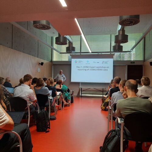 Reporting of molecular test results from cell-free DNA analyses: expert consensus recommendations from the 2023 European Liquid Biopsy Society ctDNA Workshop