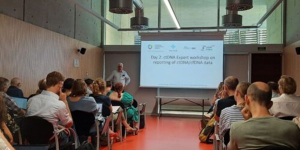 Reporting of molecular test results from cell-free DNA analyses: expert consensus recommendations from the 2023 European Liquid Biopsy Society ctDNA Workshop